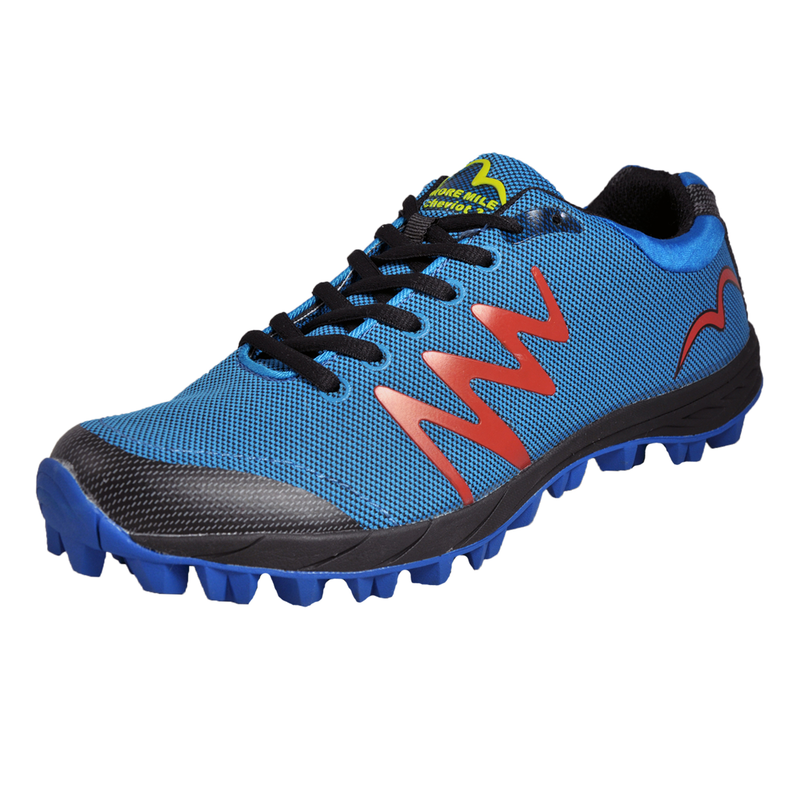 the skechers website