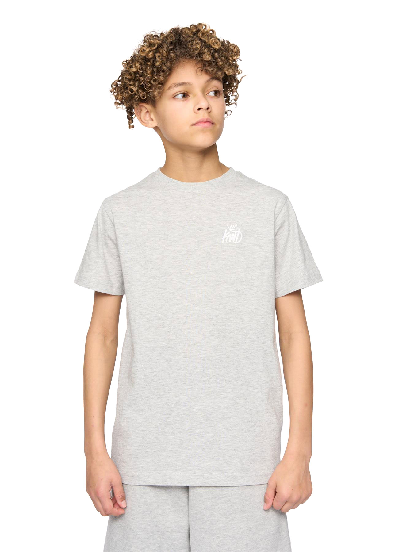 Kings Will Dream Stanton Kids Boys T-Shirt | T-Shirt  | Grey  | UK Size Mb