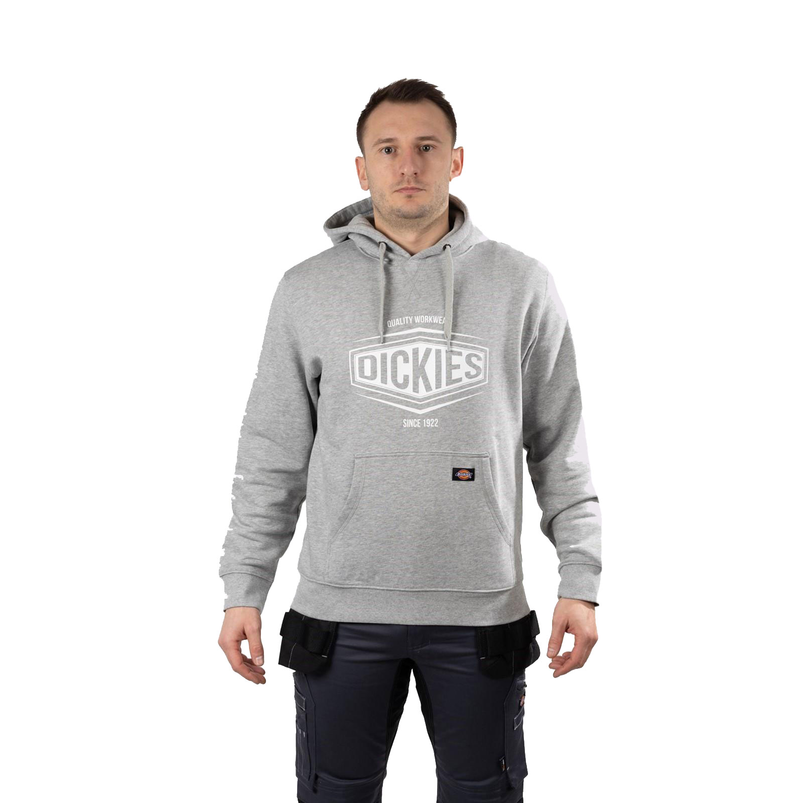 Dickies Rockfield Hoodie Mens - GRD-36236-67597-08